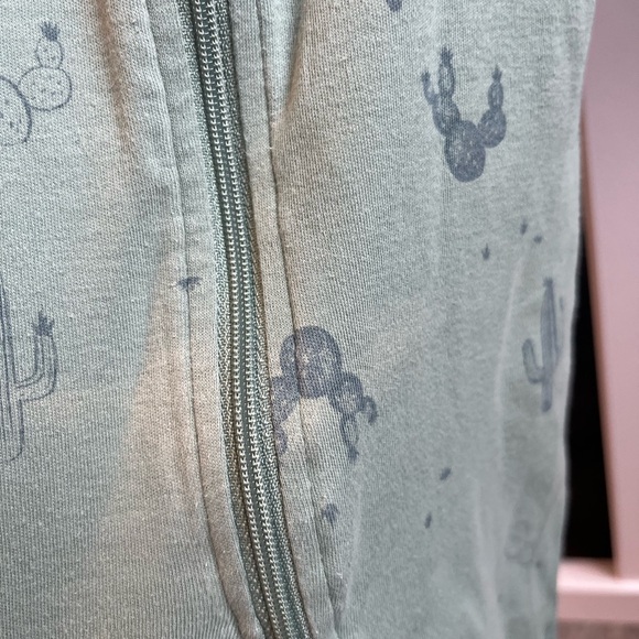 Pekkle 3mo sleeper 🌵 - Picture 2 of 3